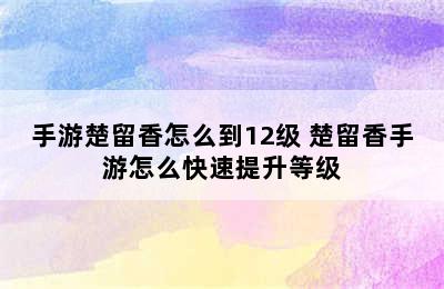 手游楚留香怎么到12级 楚留香手游怎么快速提升等级